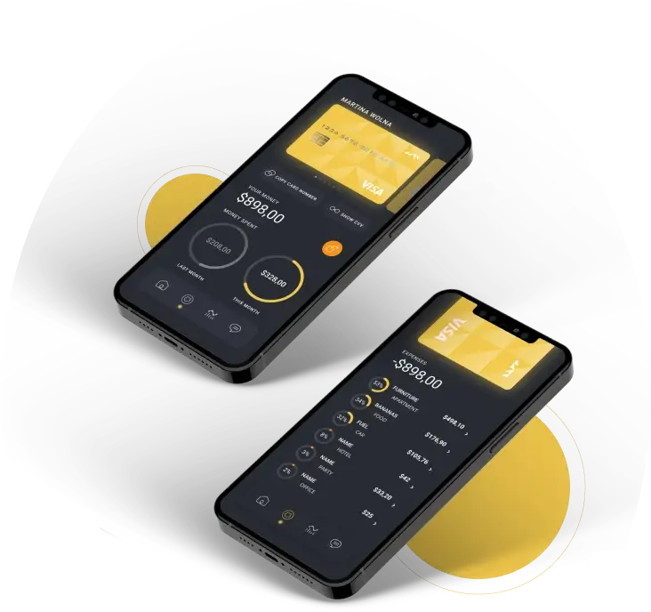 ReichOnix - The Progression of Digital Money